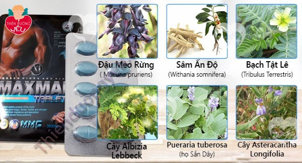 Thuốc Cường Dương MaxMan Chính hãng Kéo Dài Cuộc Yêu