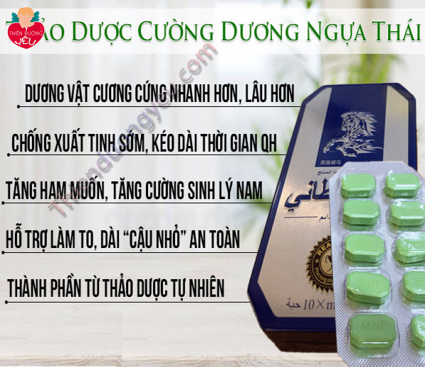 Cuong Dương Ngựa Thái Chính Hãng