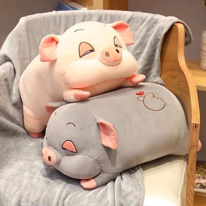 Gấu Bông Heo Dễ Thương