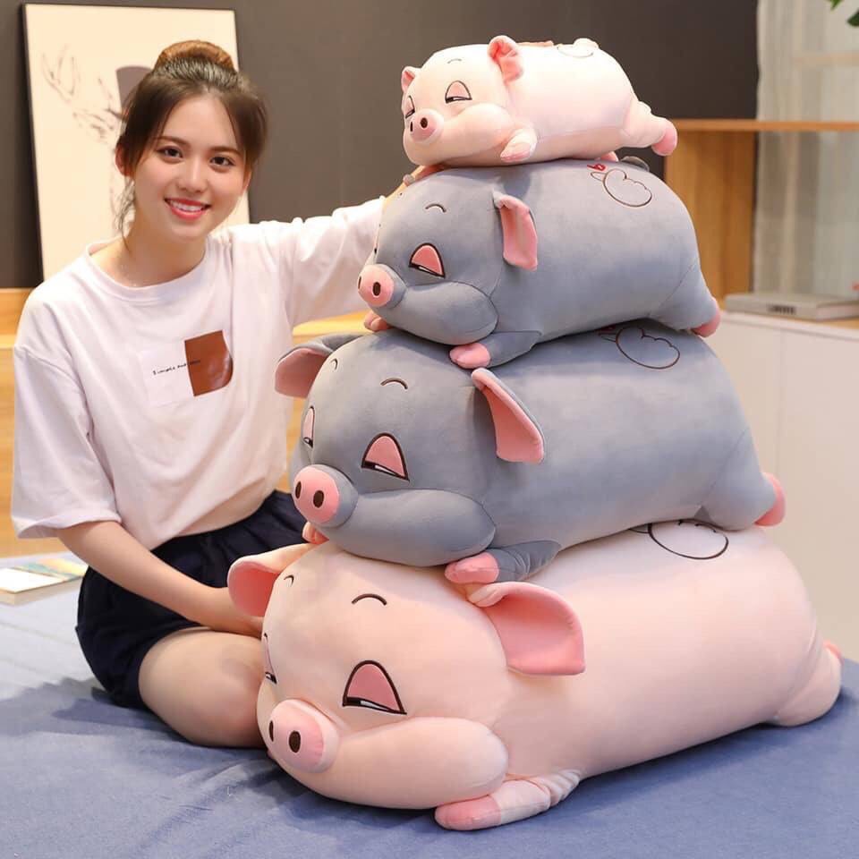 Gấu Bông Heo Dễ Thương